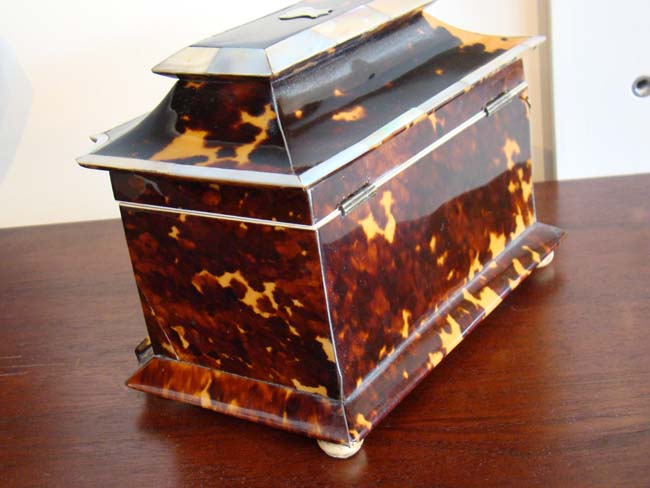 A Magnificent English Regency period Tortoiseshell, Mother-of-pearl and Ivory Tea Caddy Box circa 1815 — image 4